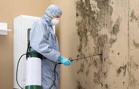 Best Dehumidification Services  in Glenpool, OK